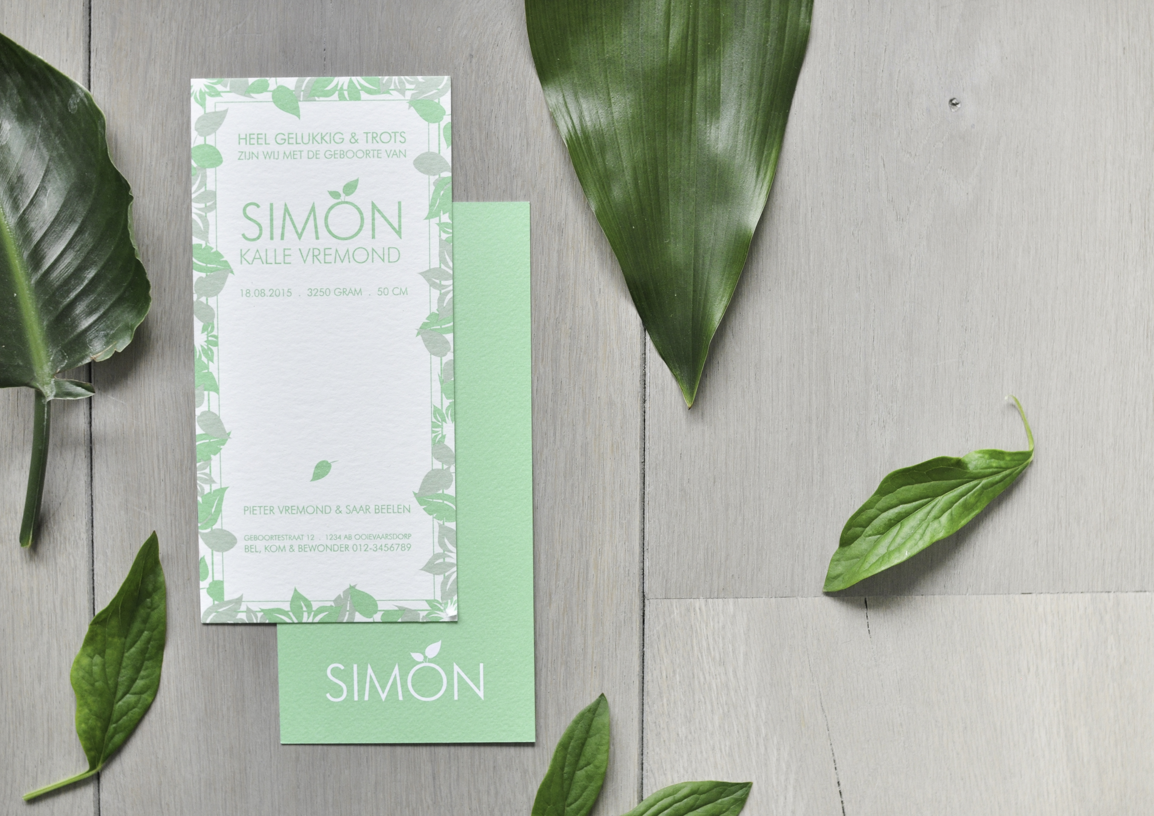 Geboortekaartjes in groen blad Simon2